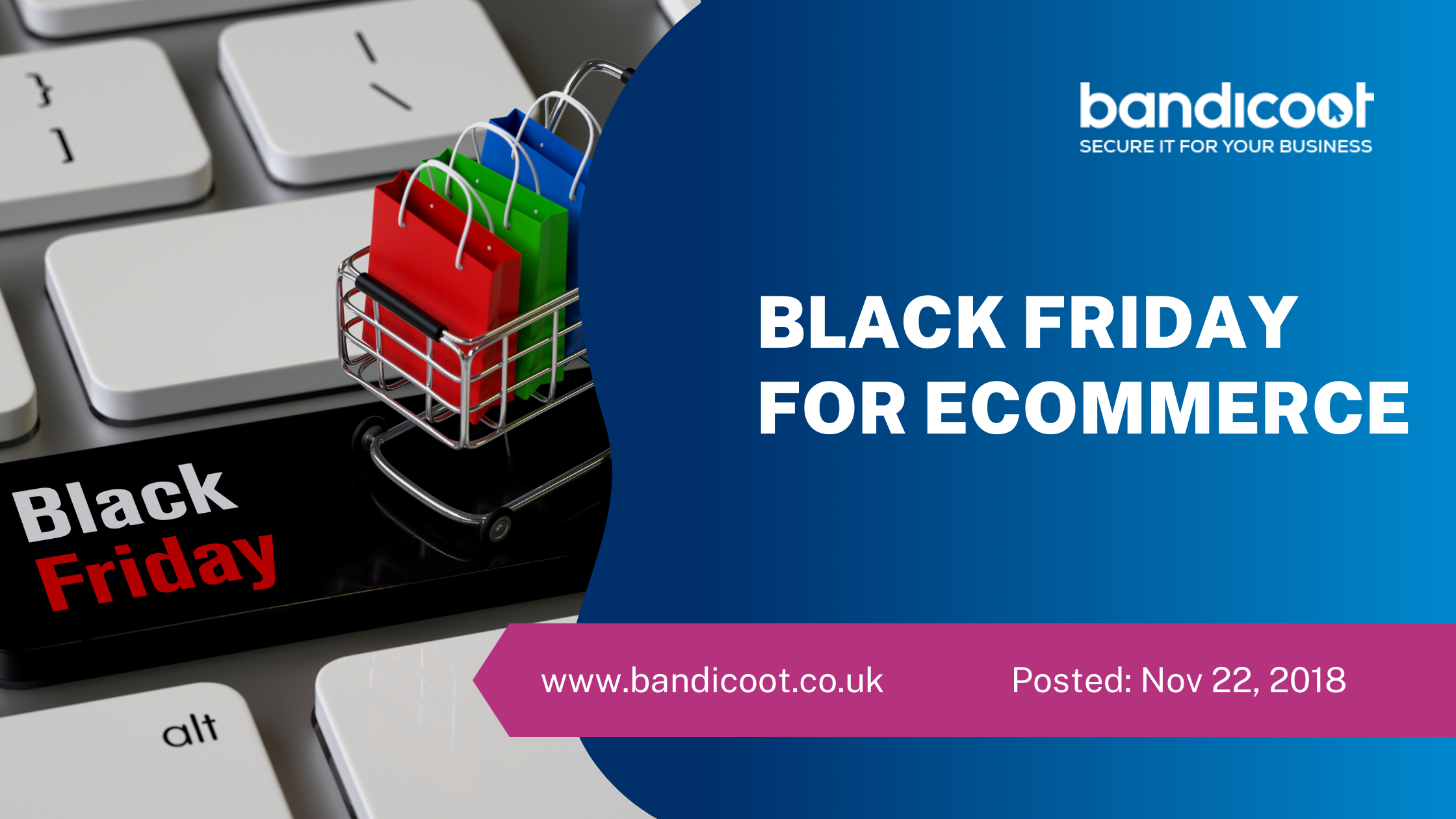 Black Friday for Bandicoot IT