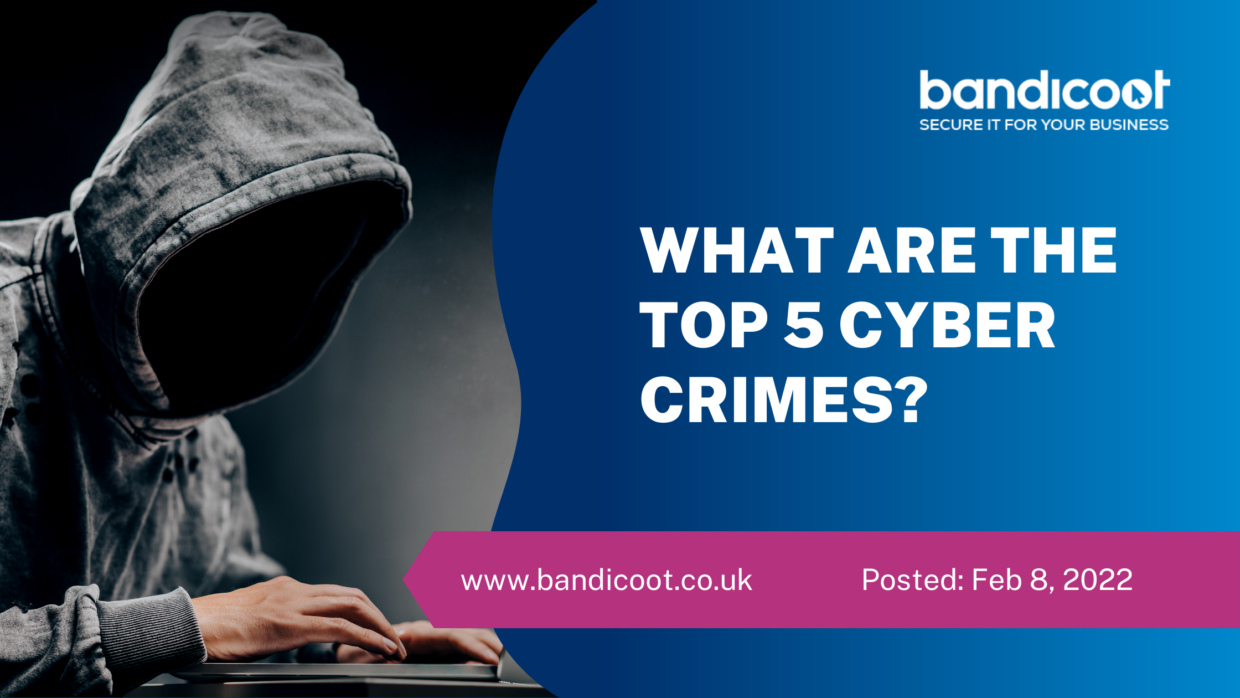 what-are-the-top-5-cyber-crimes-bandicoot-it