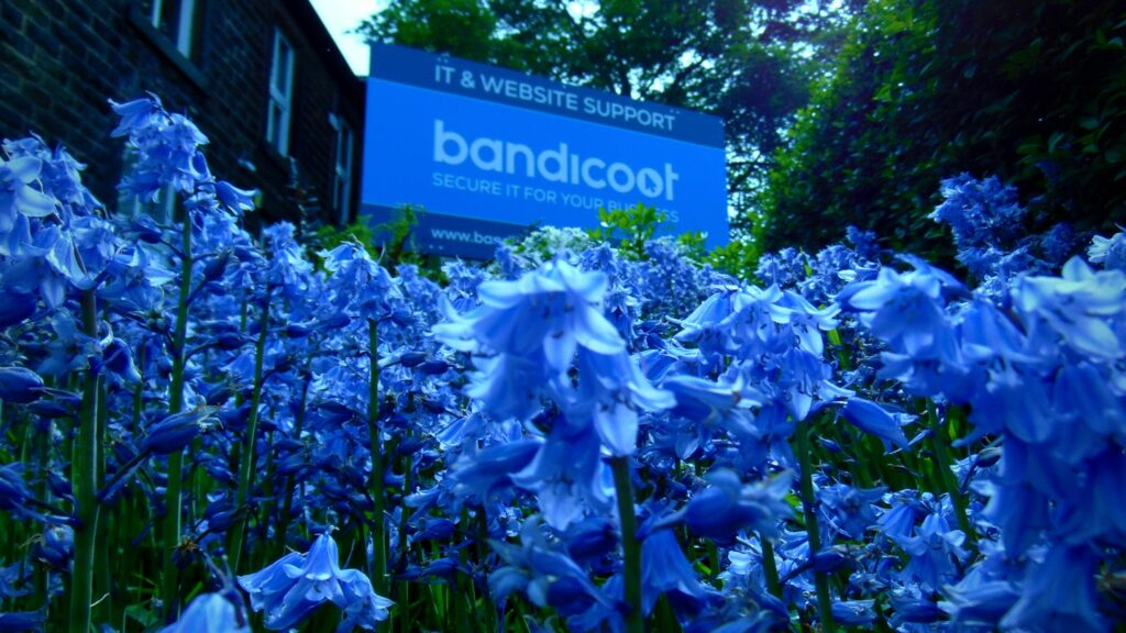 Bandicoot sign